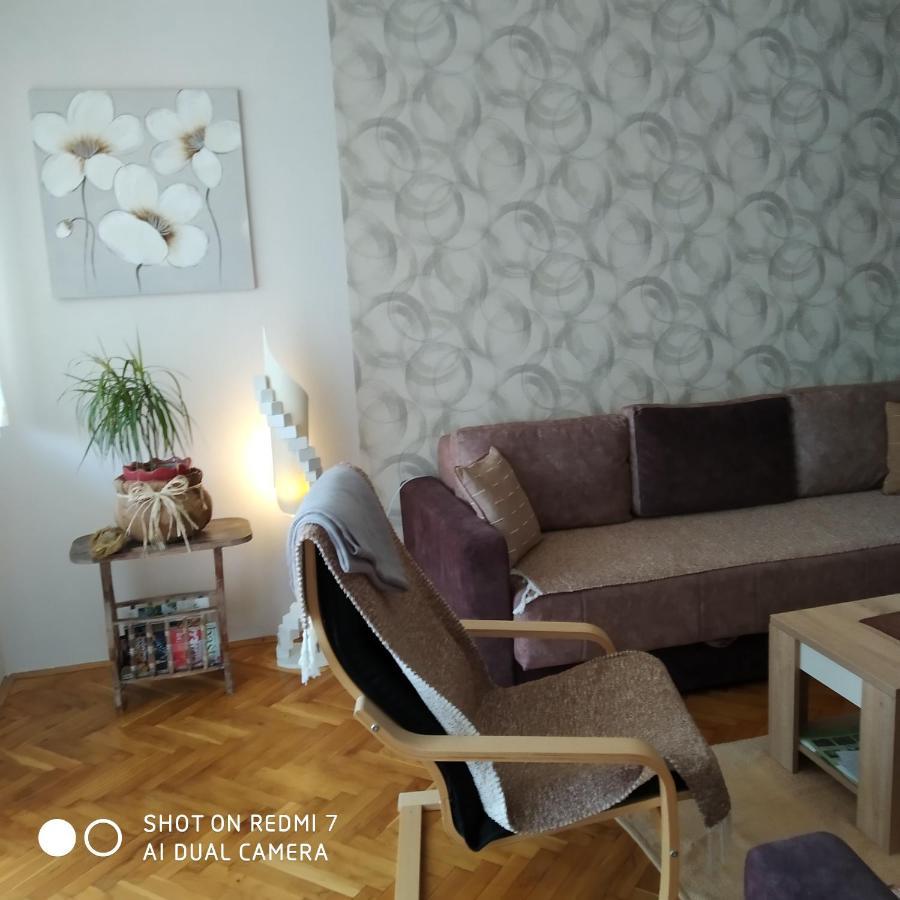 Apartman Ivan Vrdnik Exterior foto